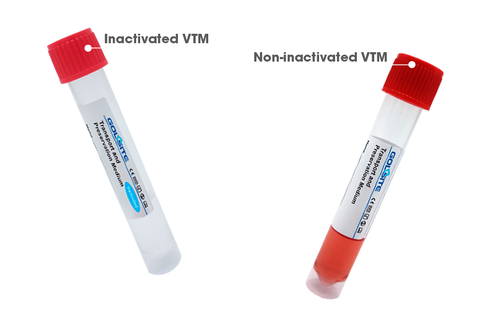 Medio de transporte viral VTM