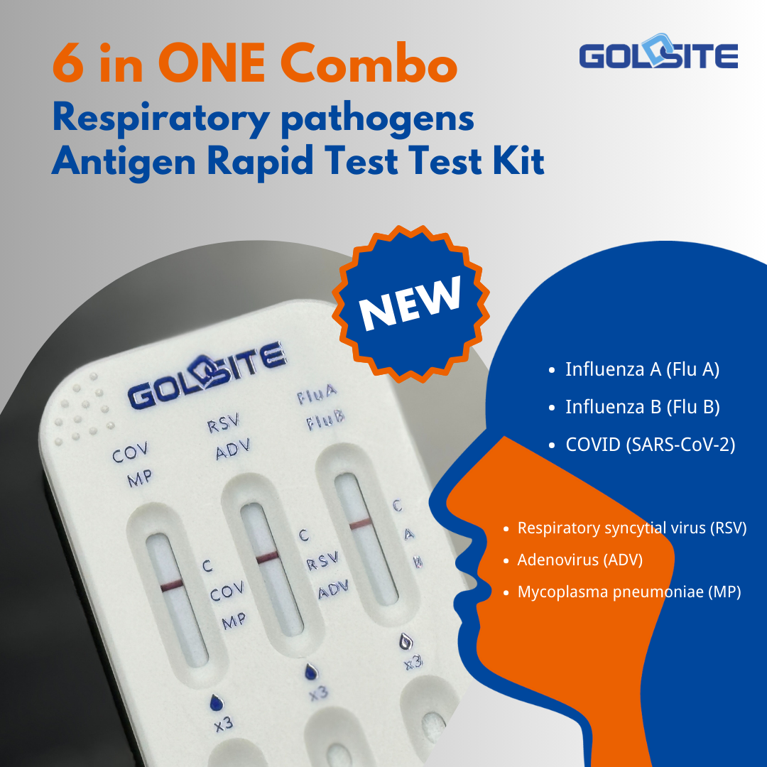 goldsite 6 em um combo 3