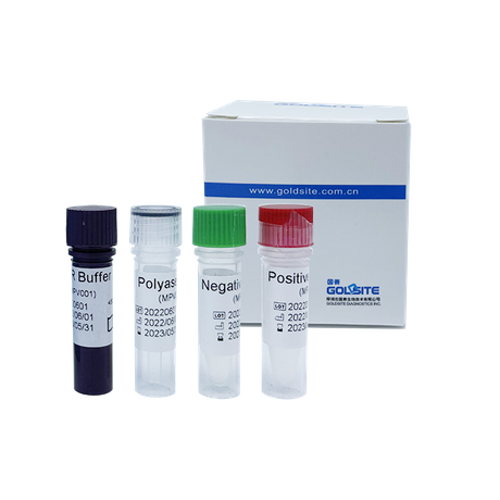 Monkeypox Virus(MPXV) PCR Kit