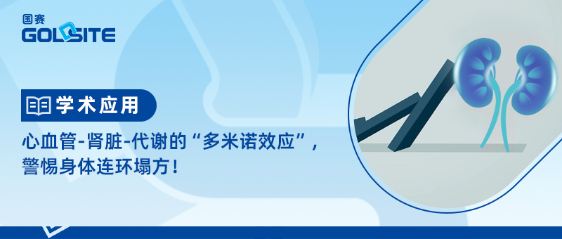 心血管-肾脏-代谢的“多米诺效应”，警惕身体连环塌方！