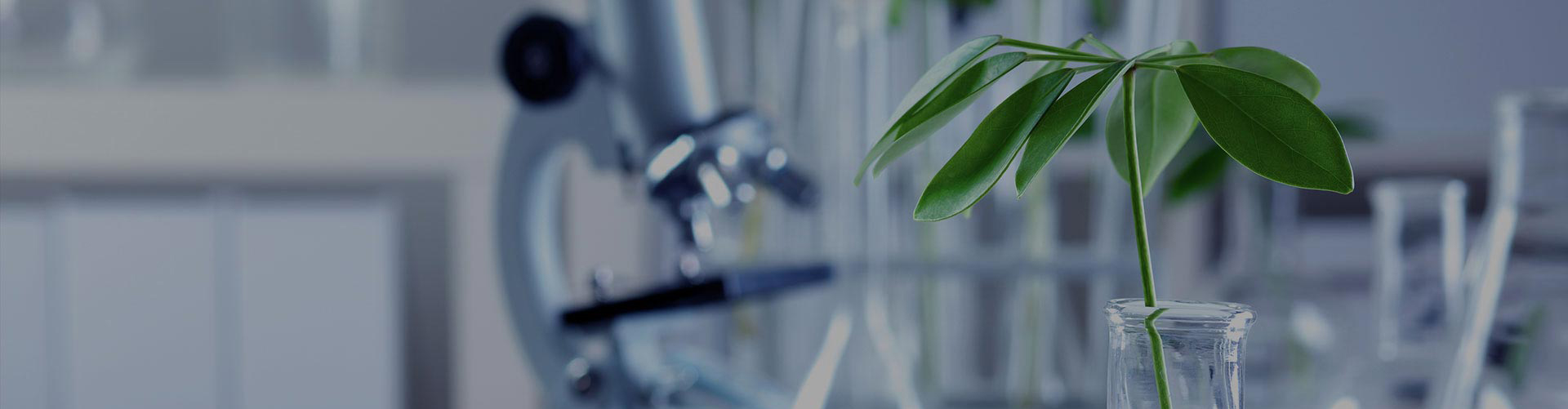 创新前沿生命科技，服务人类健康。